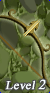 Card gold black level2 large earth bow.png