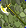 Card gold black level1 small earth axe.png