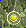 Card gold black level1 small earth pendant.png
