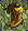 Card gold black level1 small earth boots.png